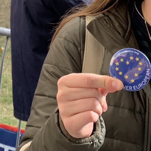 close up Brexit badge