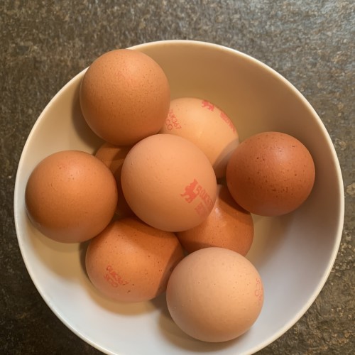 eggs